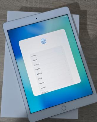 Apple iPad Usato