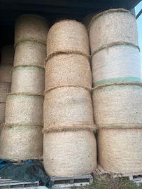 Paglia e fieno pressati