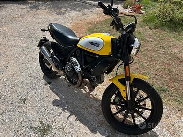 Ducati scrambler  800