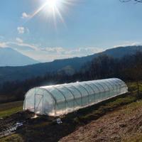 SERRE per AGRICOLTURA
