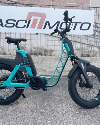 Bicicletta Elettrica e-bike