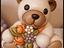 Immagine 5