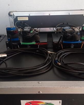 Radio microfoni AKG SR40 PRO con flycase proel 2 u
