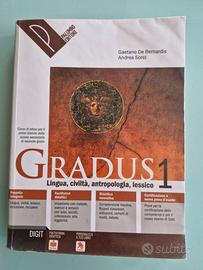 GRADUS 1 - Corso di latino per il primo biennio