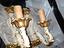 Immagine 1