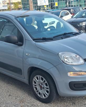 Fiat Panda 1.0 Hybrid 70 CV