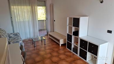 Bilocale Ammobiliato Nuova Rimini