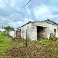 Rustico/Casale/Corte Alife [Cod. rif 3277102VRG]