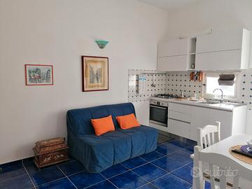 Grazioso appartamento a Ischia 