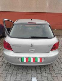 Peugeot 307 1.6 benzina prezzo trattabile