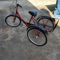 bicicletta per disabili 