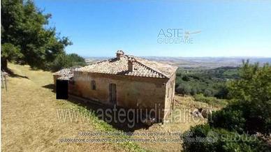 Rustico/Casale/Corte Montalcino [A4350986]