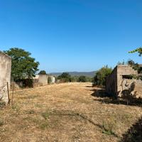 Terreno agricolo con fabbricato