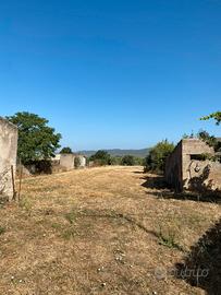 Terreno agricolo con fabbricato