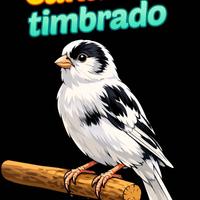 Canarino TIMBRADO