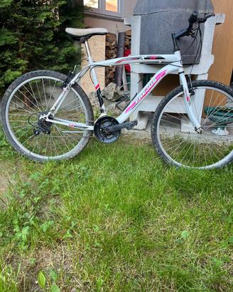Bici ragazzo
