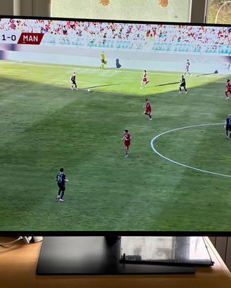 Televisore Panasonic