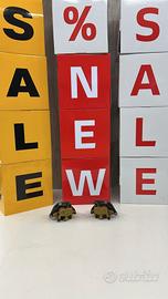 Pinze freno complete Honda Hornet 600