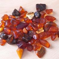 Ambra pregiata naturale del Baltico