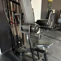 Alzate laterali / lateral raise panatta