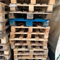 Pancali centro marca 80x120