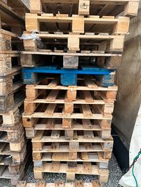 Pancali centro marca 80x120