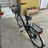 Bicicletta donna Daytona