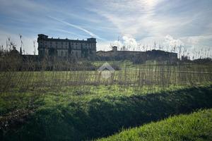 TER. AGRICOLO A BUGGIANO