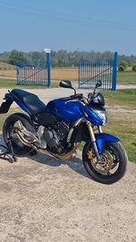 Honda Hornet