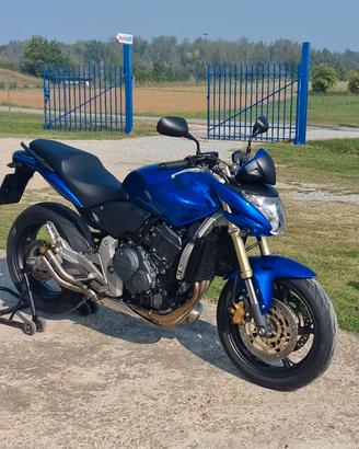Honda Hornet
