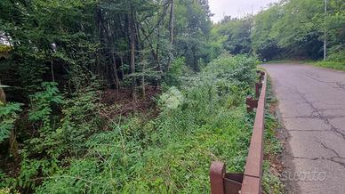 TER. AGRICOLO A OLGIATE MOLGORA