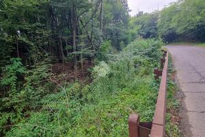 TER. AGRICOLO A OLGIATE MOLGORA