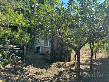 Terreno con deposito agricolo - Siano