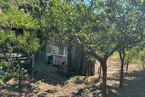 Terreno con deposito agricolo - Siano