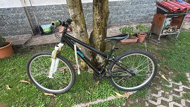 Bici mtb