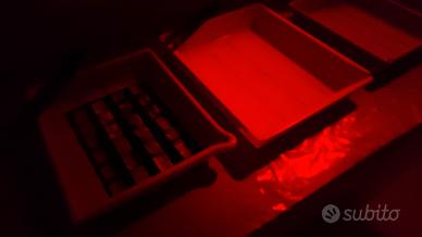 Stampa ai Sali d’argento da files b/n e colore