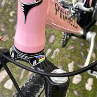 Pinarello mtb