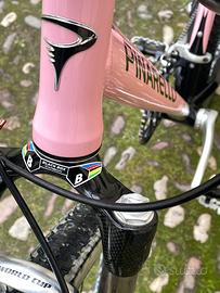 Pinarello mtb
