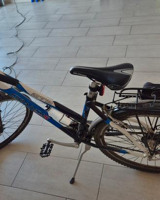 MTB Grandis
