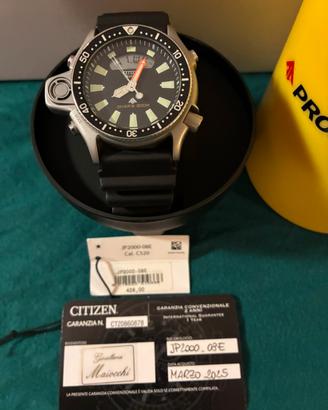 Citizen promaster