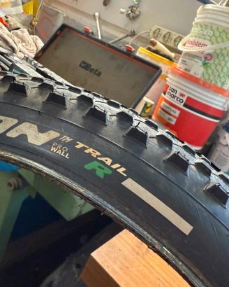 Pirelli Scorpion Trail R 29x2.50