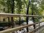 Immagine 7