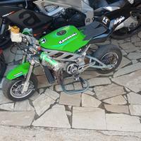 Altro Altro modello - 2020