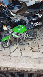 Altro Altro modello - 2020