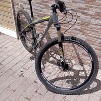 MBT Black Forest Focus