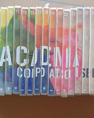 DVD e fascicoli Corso disegno e pittura 