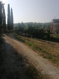 Villa ristrutturata