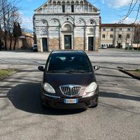 Lancia musa