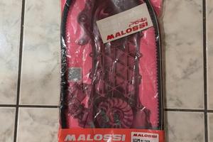 Conghia piaggio ciao malossi x belt puleggia 80