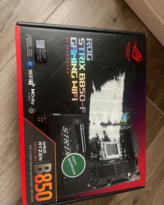 Scheda madre asus
